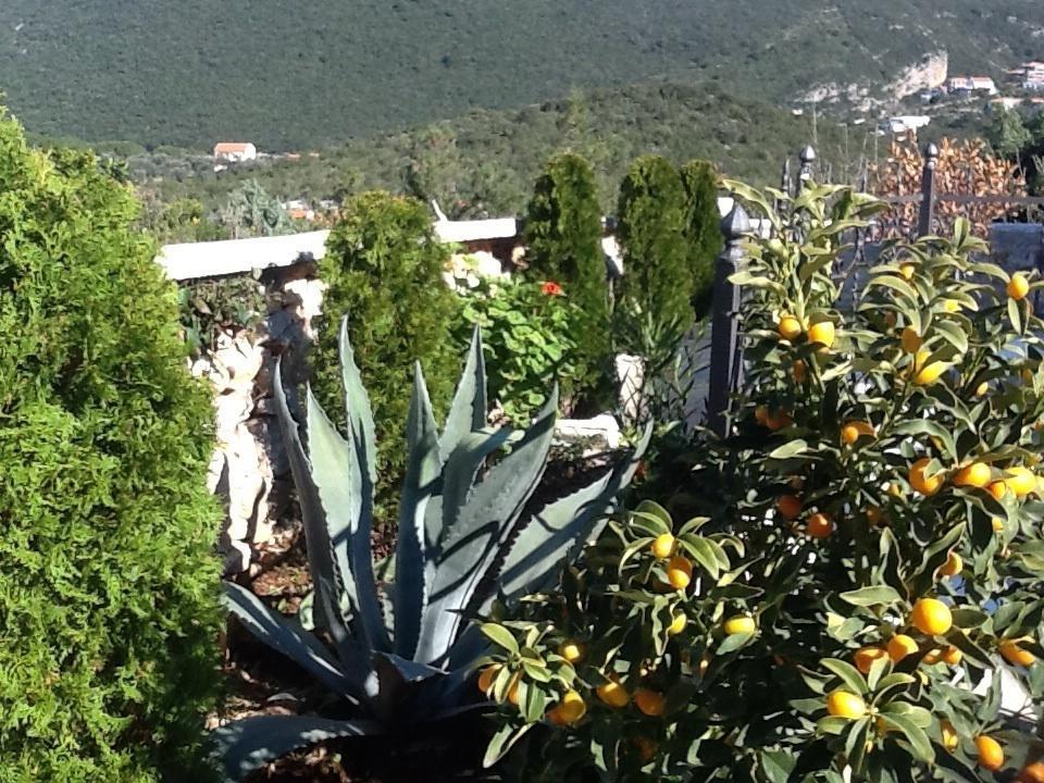 Villa Mirista Luštica Bilik gambar