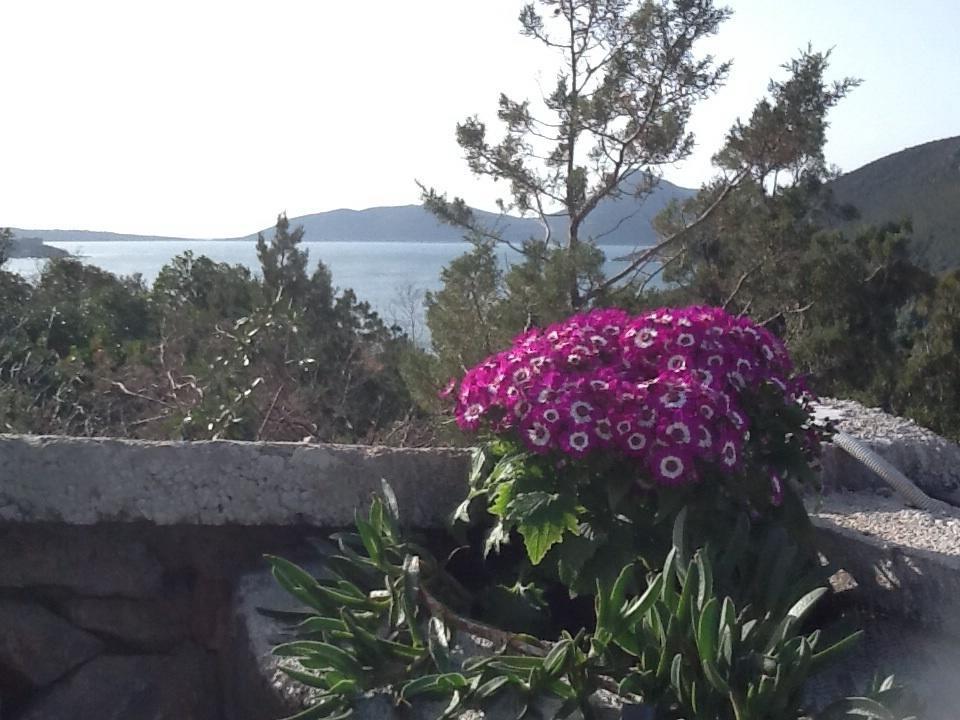 Villa Mirista Luštica Bilik gambar